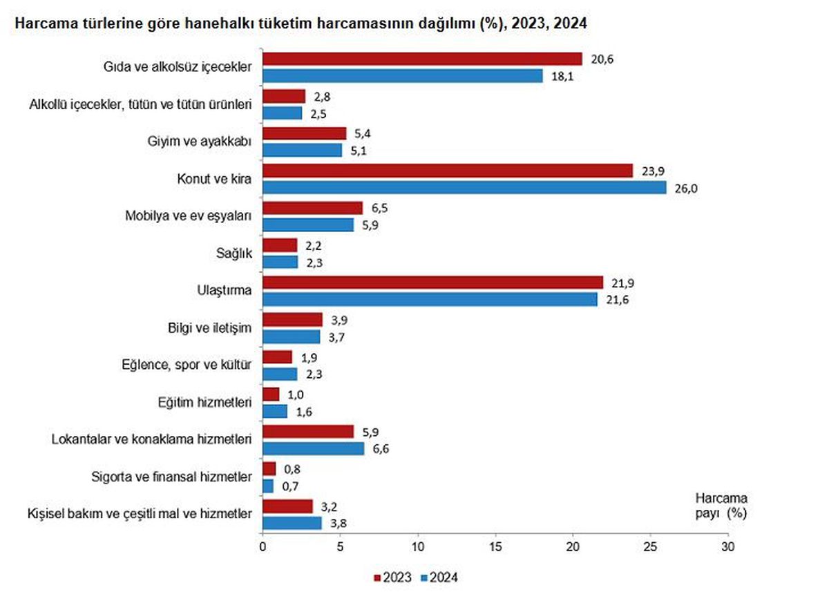TÜİK 2024 Tüketim Harcama İstatistiklerini Açıkladı