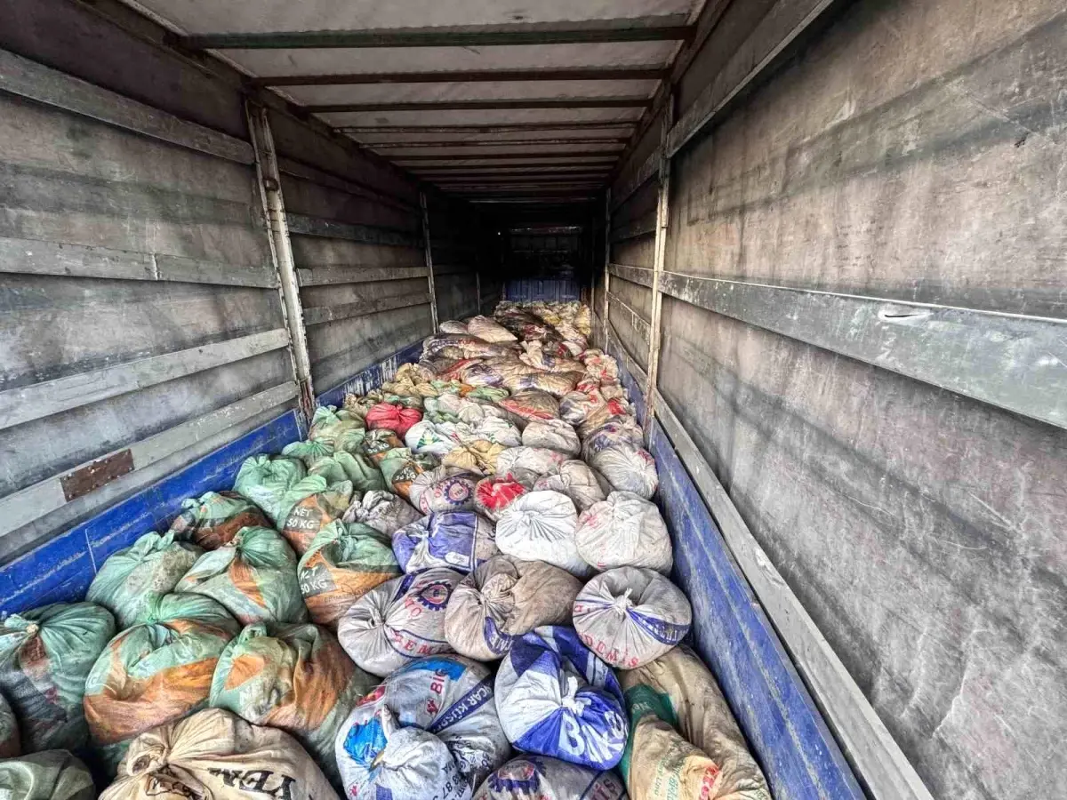 Van'da Kaçak Avcılığa Geçit Yok: 22 Ton İci Kefali Ele Geçirildi