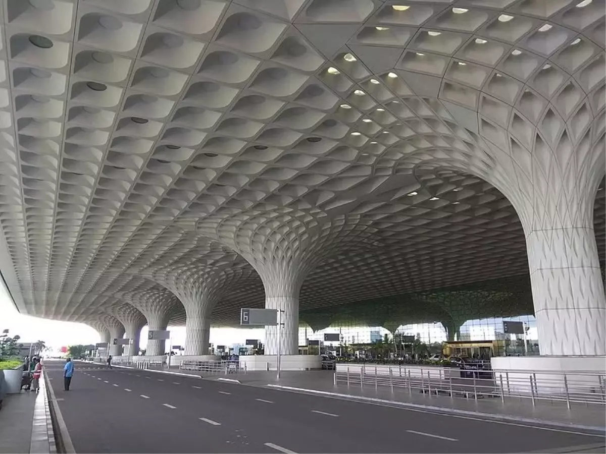 Mumbai Havalimanı'nda Valizde 48 Zehirli Yılan ve 5 Kaplumbağa Ele Geçirildi