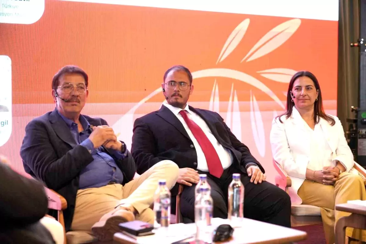 Zeytinyağı Fiyatlarında Düşüş Beklentisi: 2026'da Düşebilir