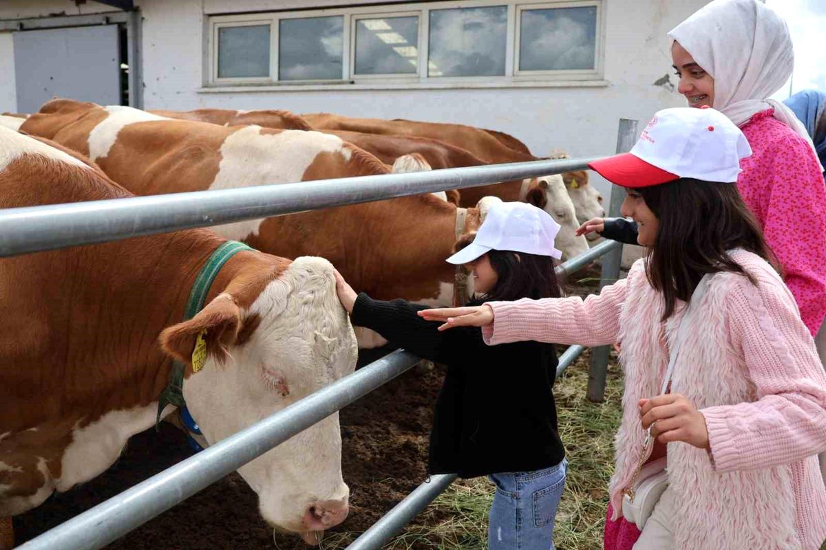 Erzurum'da Aile Yılı ve Süt Haftası Etkinliği Düzenlendi