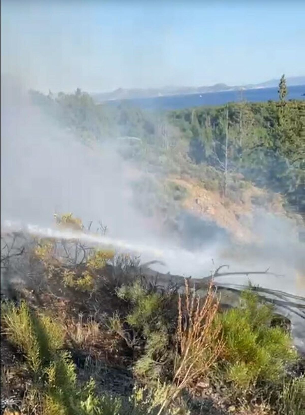 Muğla ve Aydın'da Üç Ayrı Orman Yangını Kontrol Altına Alındı
