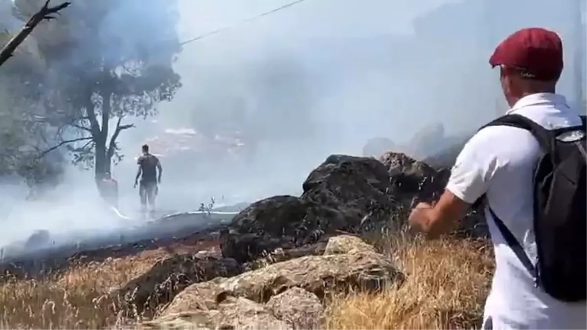 Ayvalık'ta Cennet Tepesi'nde Orman Yangını Kontrol Altında