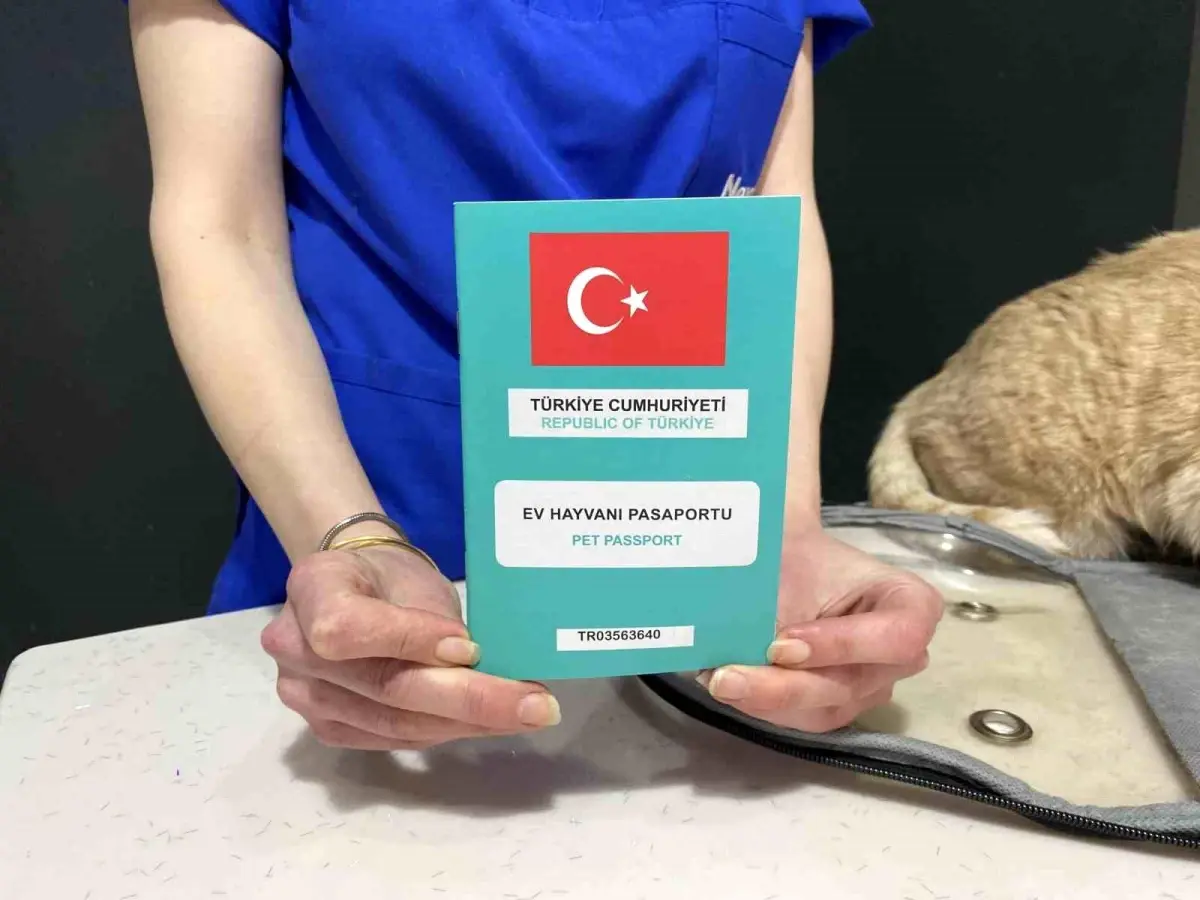 Uzman Veteriner Hekimden Bayram Seyahati İçin Uyarılar