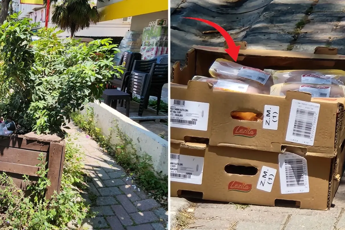 Zincir markette skandal! Tavukları güneşin altında beklettiler