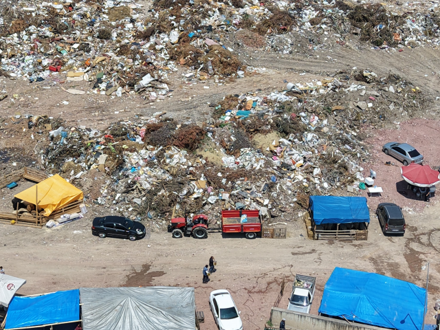 Sacrificial Animal Sellers in Izmit are Victims in the Garbage