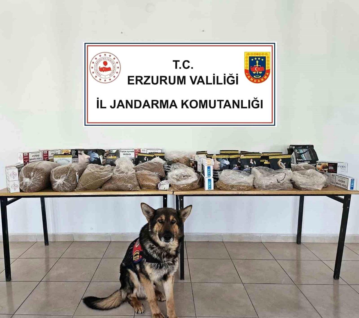 Erzurum'da Kaçak Tütün Operasyonu: 30 Kilogram Kaçak Tütün Ele Geçirildi