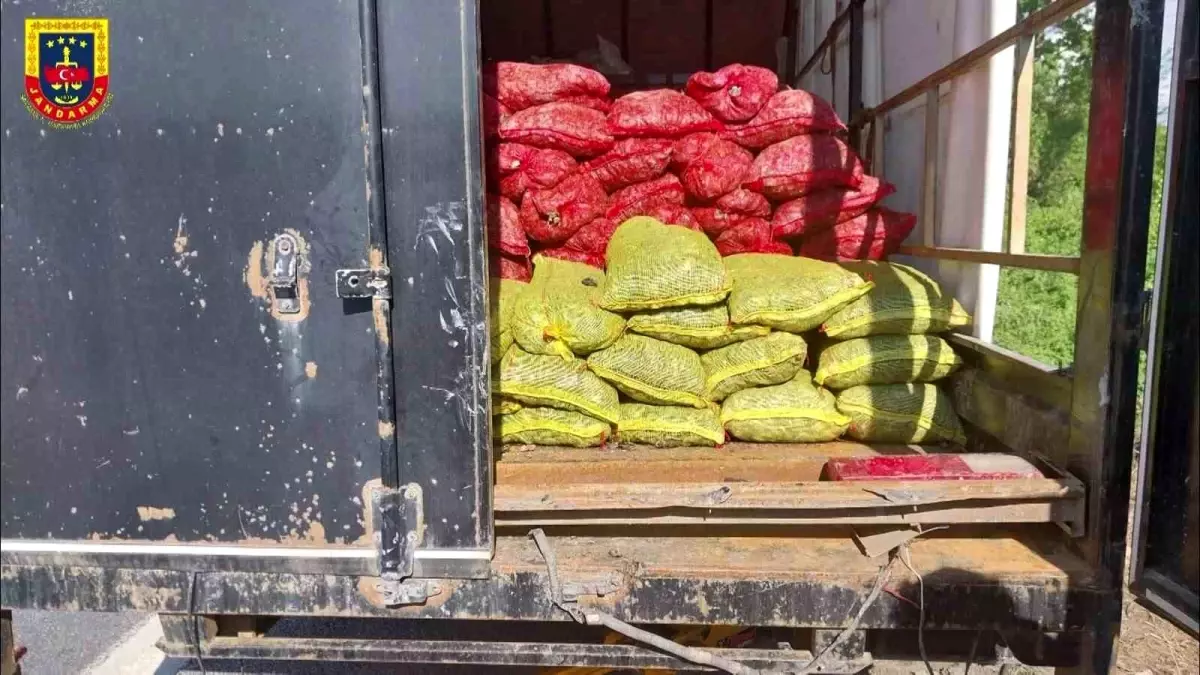 Sakarya'da Durdurulan Kamyonette 5 Ton Sağlıksız Deniz Midyesi Ele Geçirildi