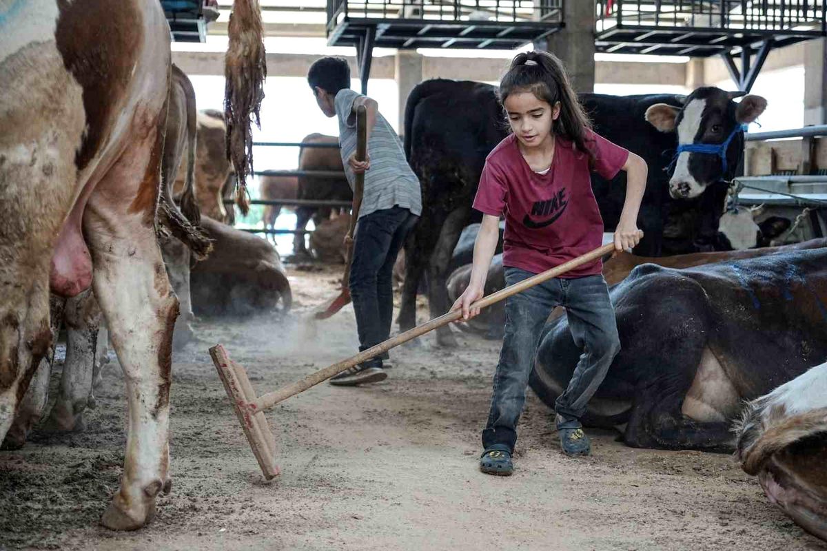 Kurban Pazarı'nda Çocuklardan Örnek Çaba