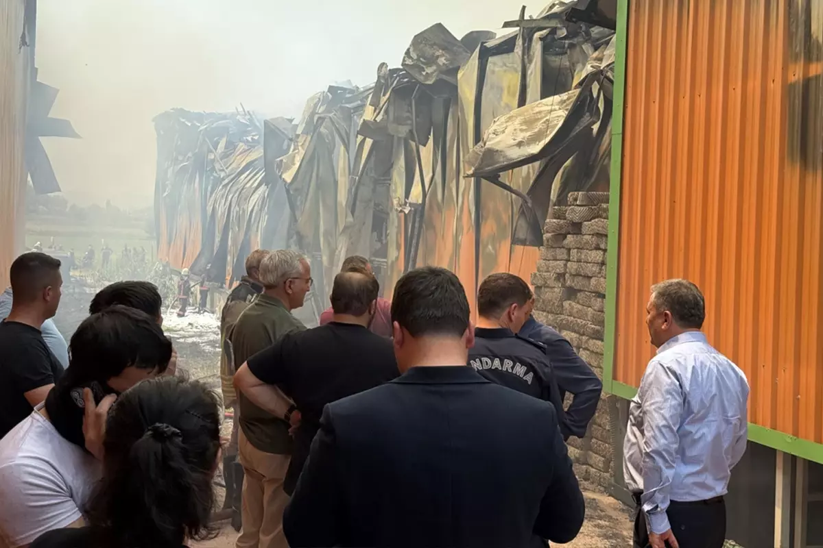Yumurta üretim tesisinde korkunç yangın: 150 bin tavuk telef oldu