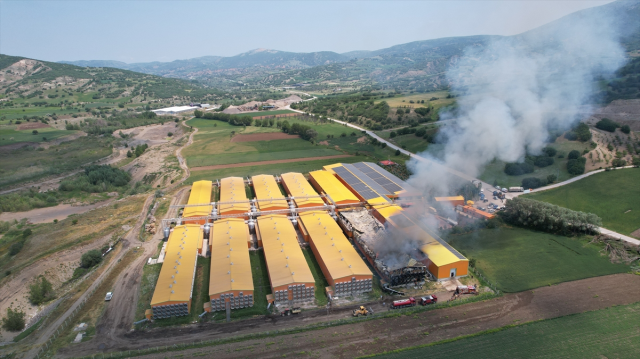 Fire at egg production facility in Ankara: 150,000 chickens died