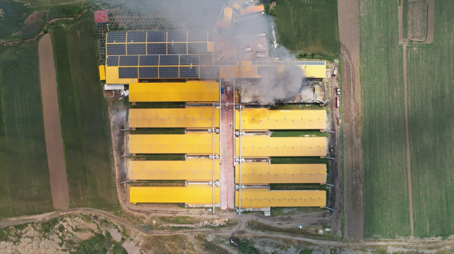 Fire at egg production facility in Ankara: 150,000 chickens died