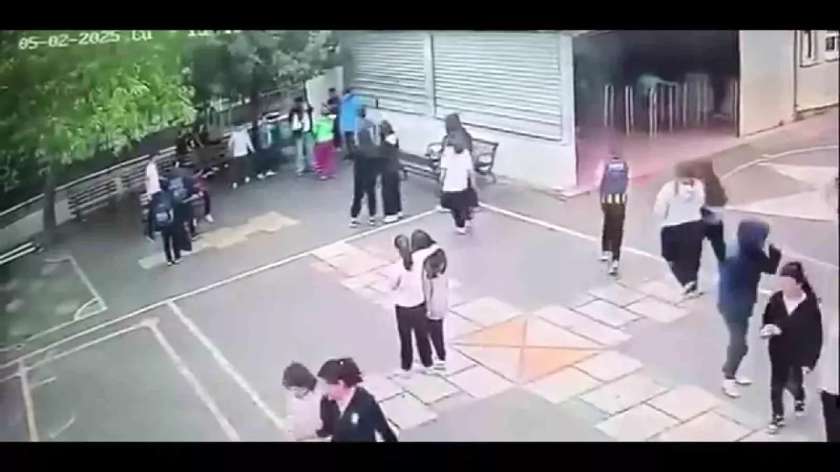Ataşehir'de Okul Bahçesinde Çocuğa Saldırı Olayı