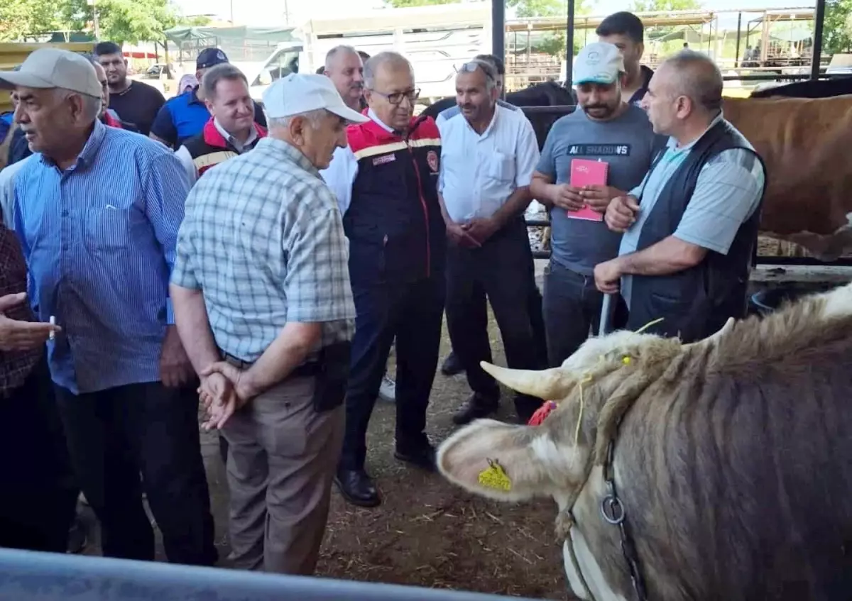 Aydın'da Kurban Bayramı Öncesi Denetimler Artırıldı