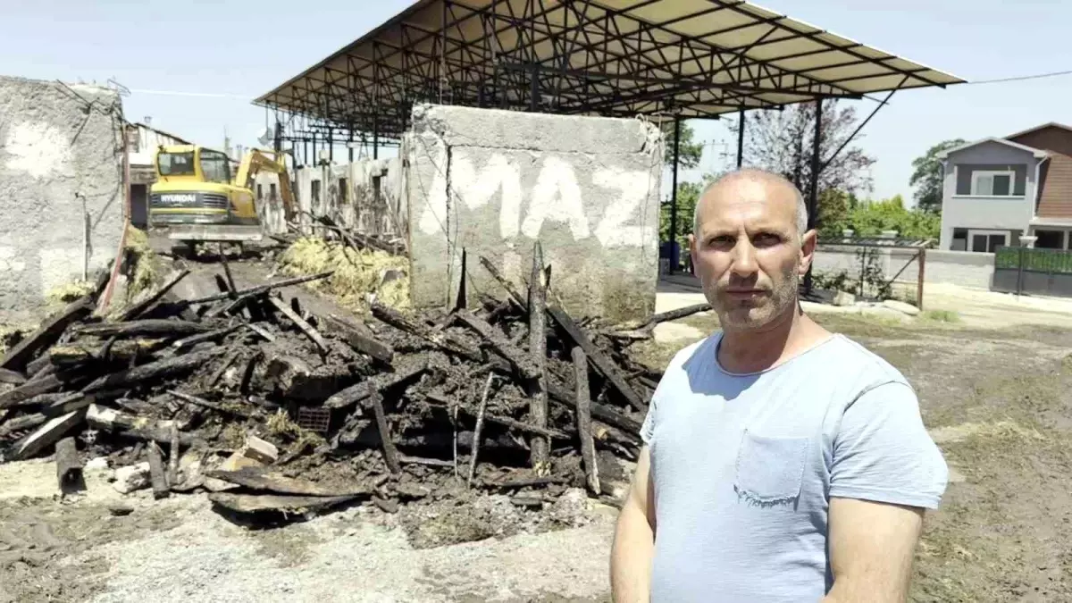 Kurban Bayramı'na İki Gün Kala Sakarya'da Yangın: 17 Büyükbaş Hayvan Telef Oldu