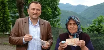 Bu böcek dünyanın sonunu getirebilir! Canlı getirene para ödülü veriliyor
