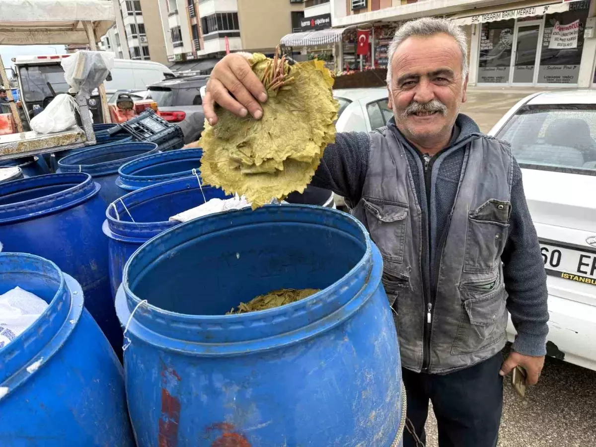 Erbaa Narince Yaprağı, Zirai Dona Rağmen İkinci Şansını Buldu