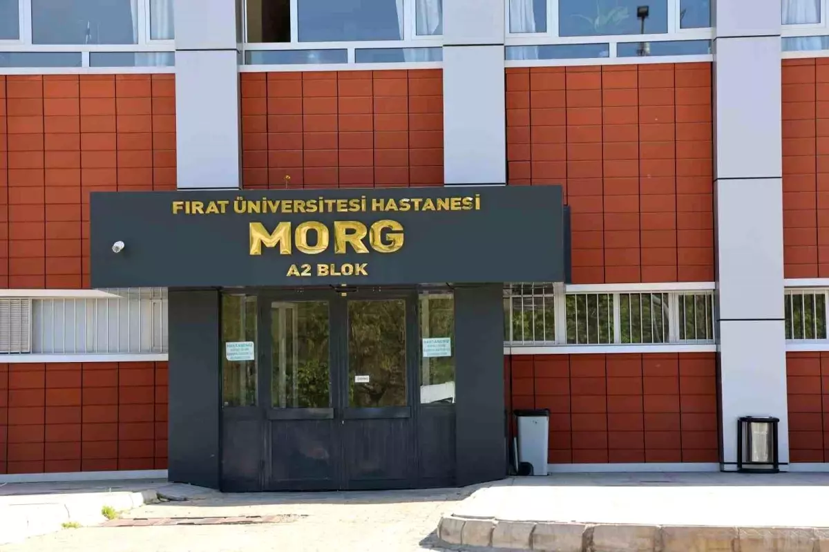Elazığ'da Uçurumdan Düşen Genç Hayatını Kaybetti