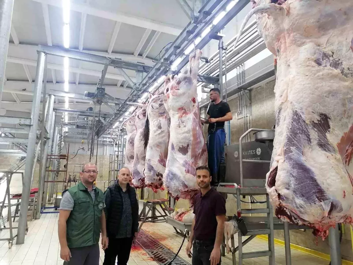 Erzincan'da Mezbahalar Denetlendi