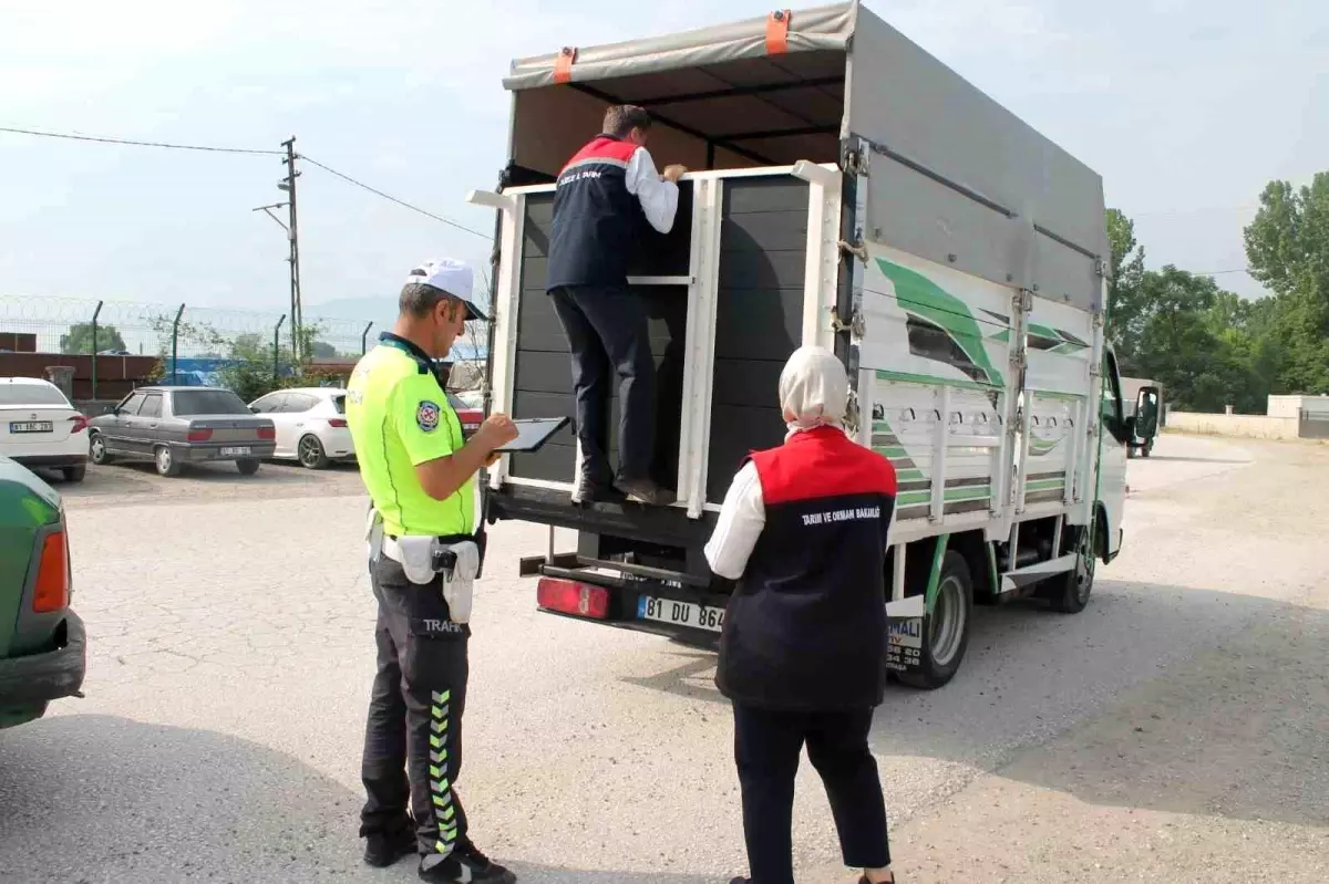 Düzce'de Kurban Bayramı İçin Sıkı Denetim