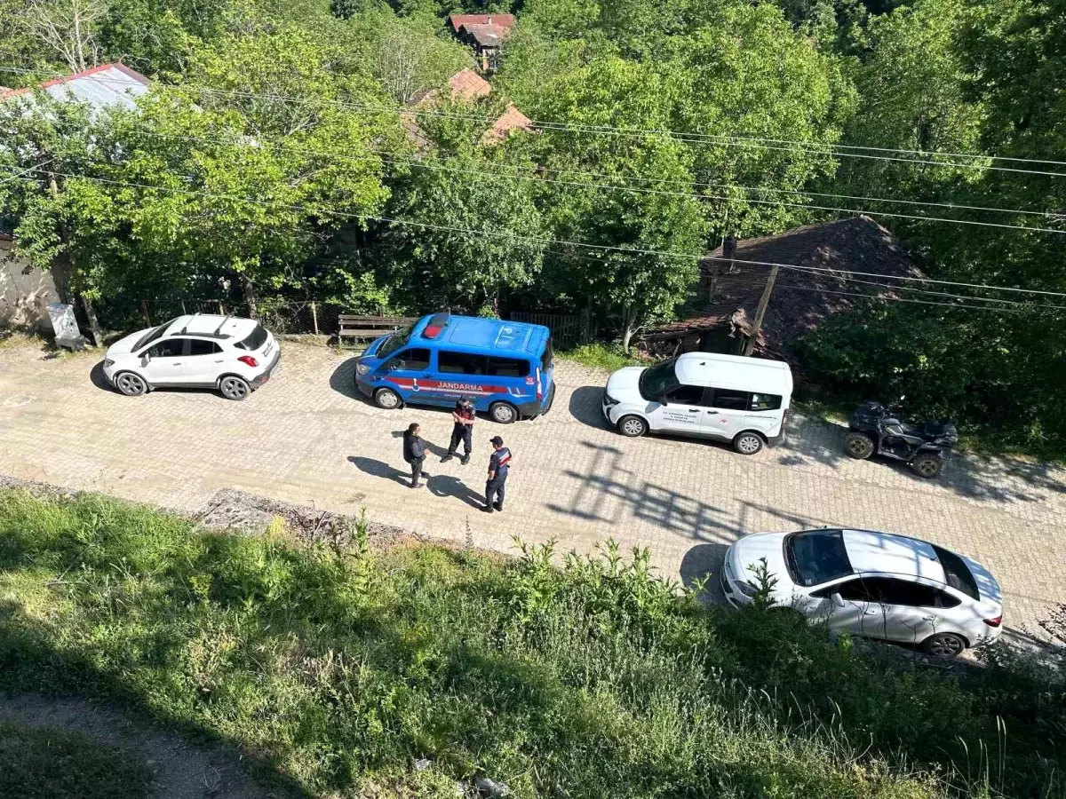 Karabük'te Köpeklerin Telef Edilmesi Üzerine Jandarma Soruşturma Başlattı