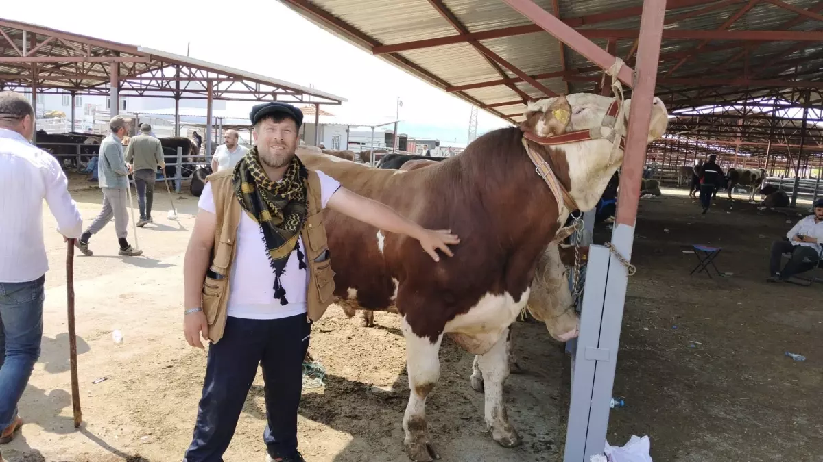 Kırşehir'de 'Paşa' İsimli Boğa 230 Bin TL'ye Satıldı