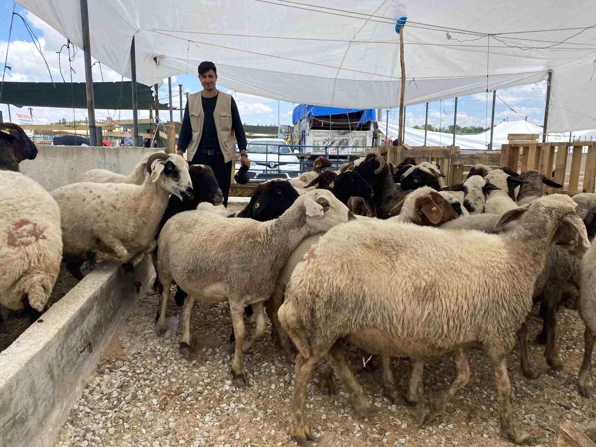 Konya'da Kurban Satışları İkinci Gün Yoğunlaşacak