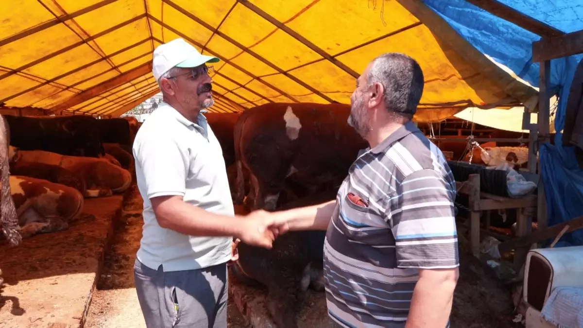 İstanbul'da Kurban Pazarı Hareketliliği Devam Ediyor