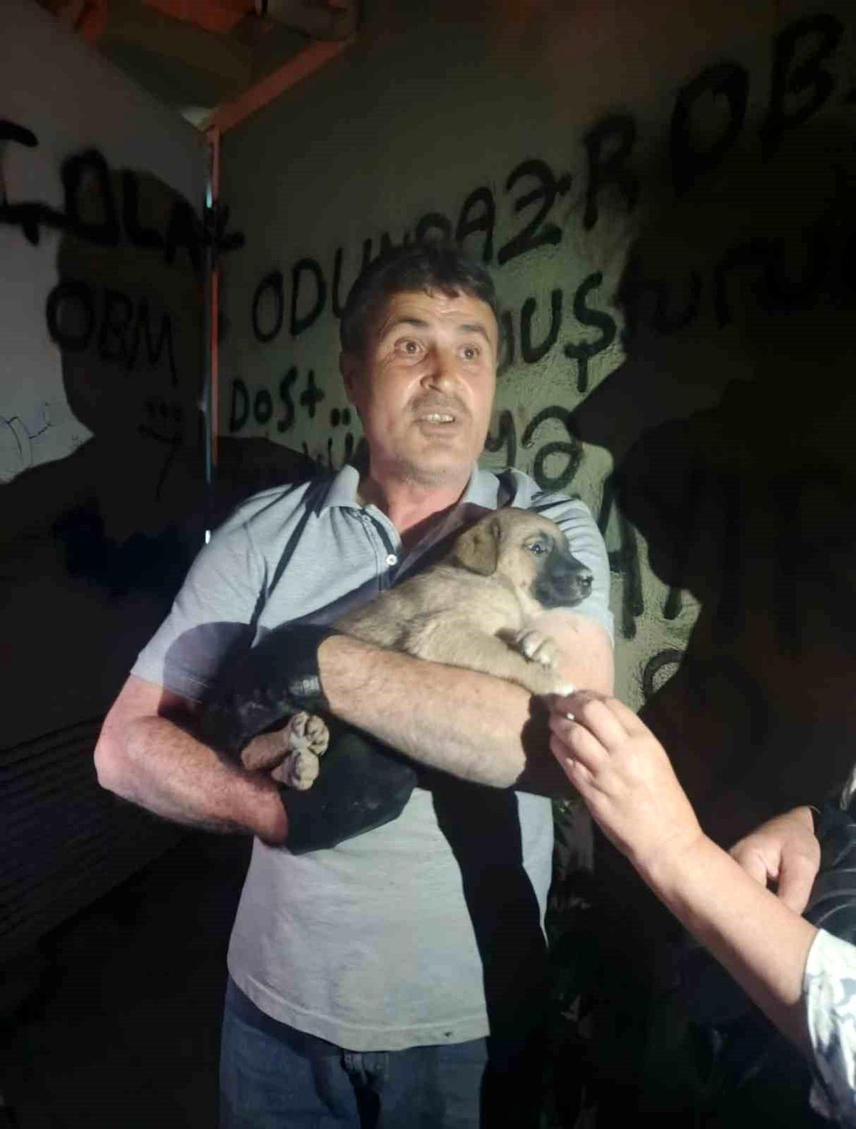 Eskişehir'de Mahsur Kalan Yavru Köpek Kurtarıldı