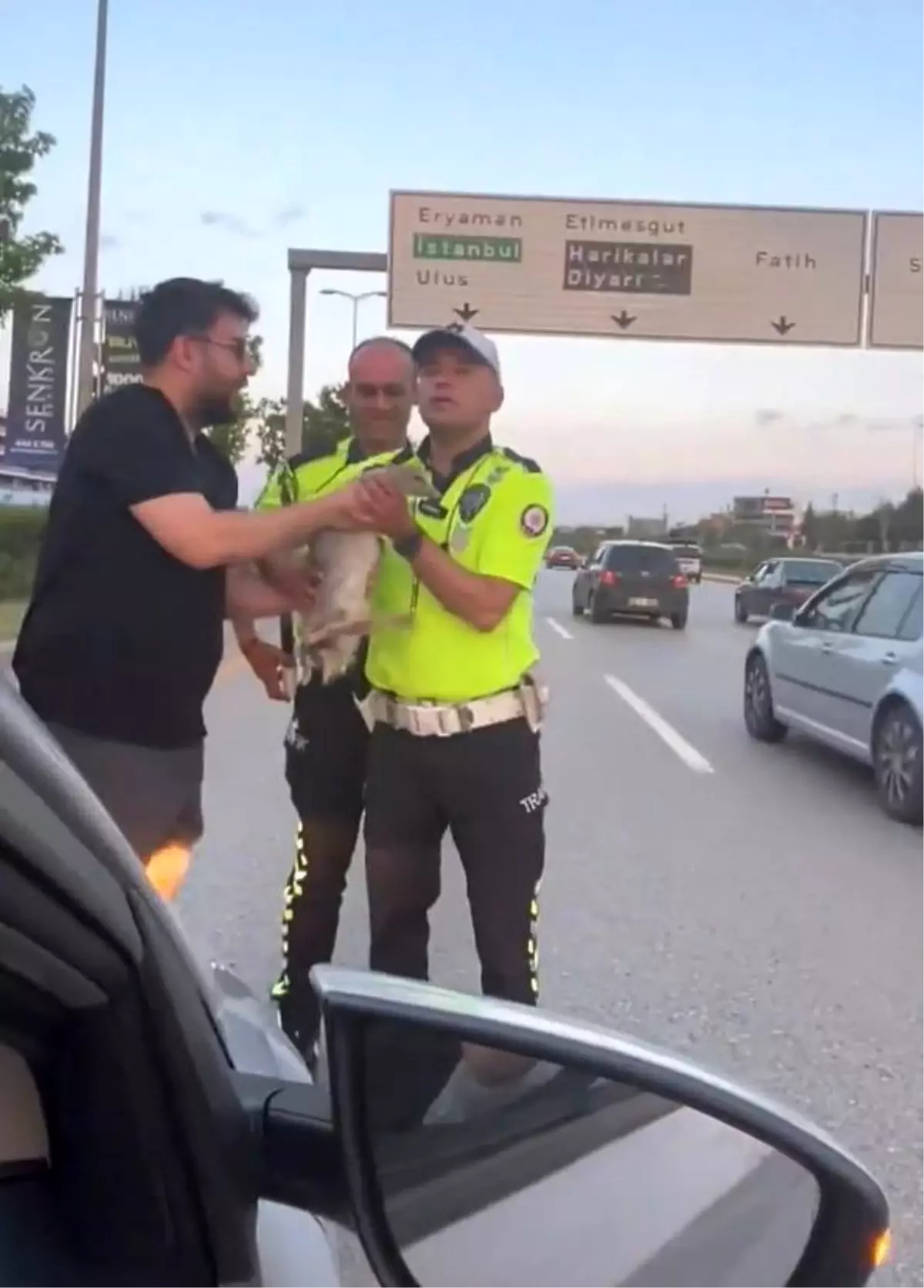 Ankara'da Ördek Kurtarma Operasyonu