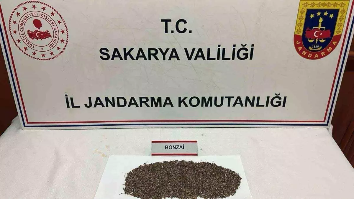 Sakarya'da Uyuşturucu Operasyonu: 150 Gram Bonzai Ele Geçirildi