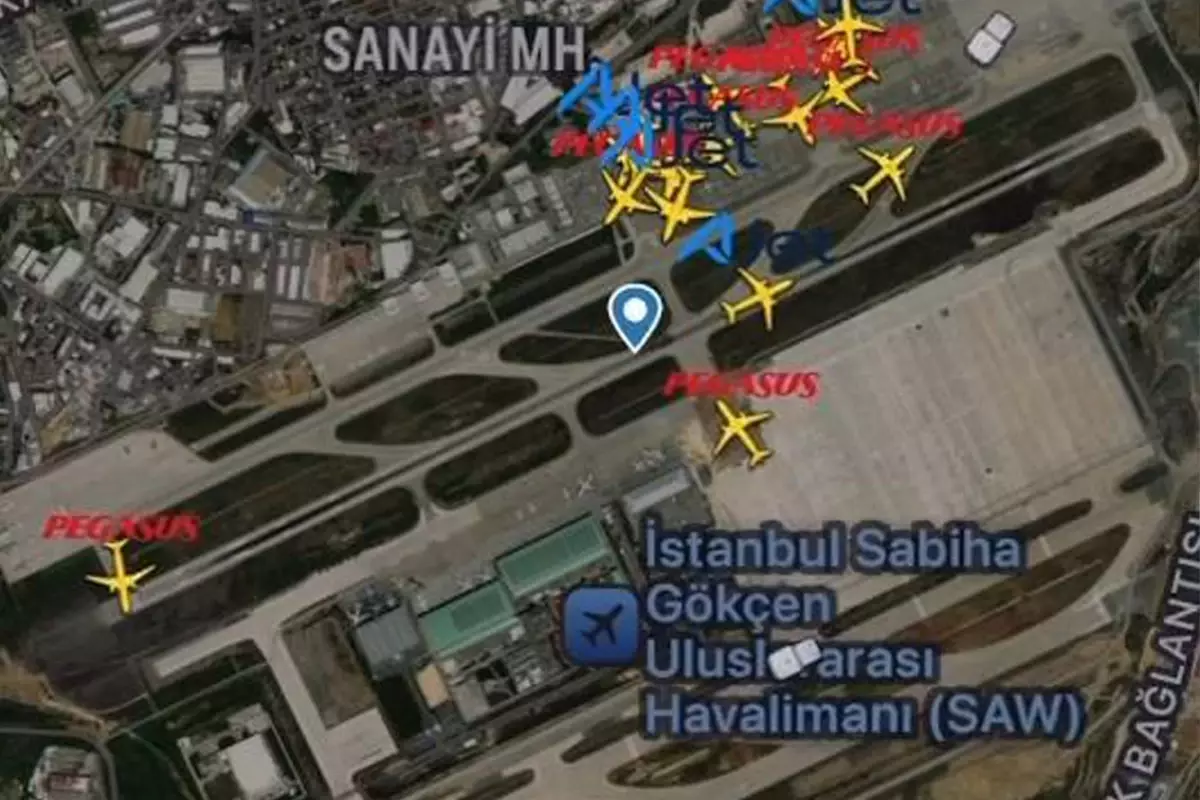 Sabiha Gökçen Havalimanı'nda pistte tavşan paniği