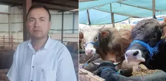 İş insanı sattığı hayvanın fotoğrafını çekmek isterken canından oldu