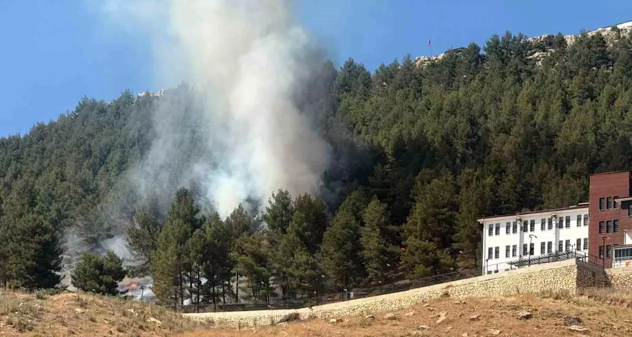 Adıyaman'da Orman Yangını Korkuttu