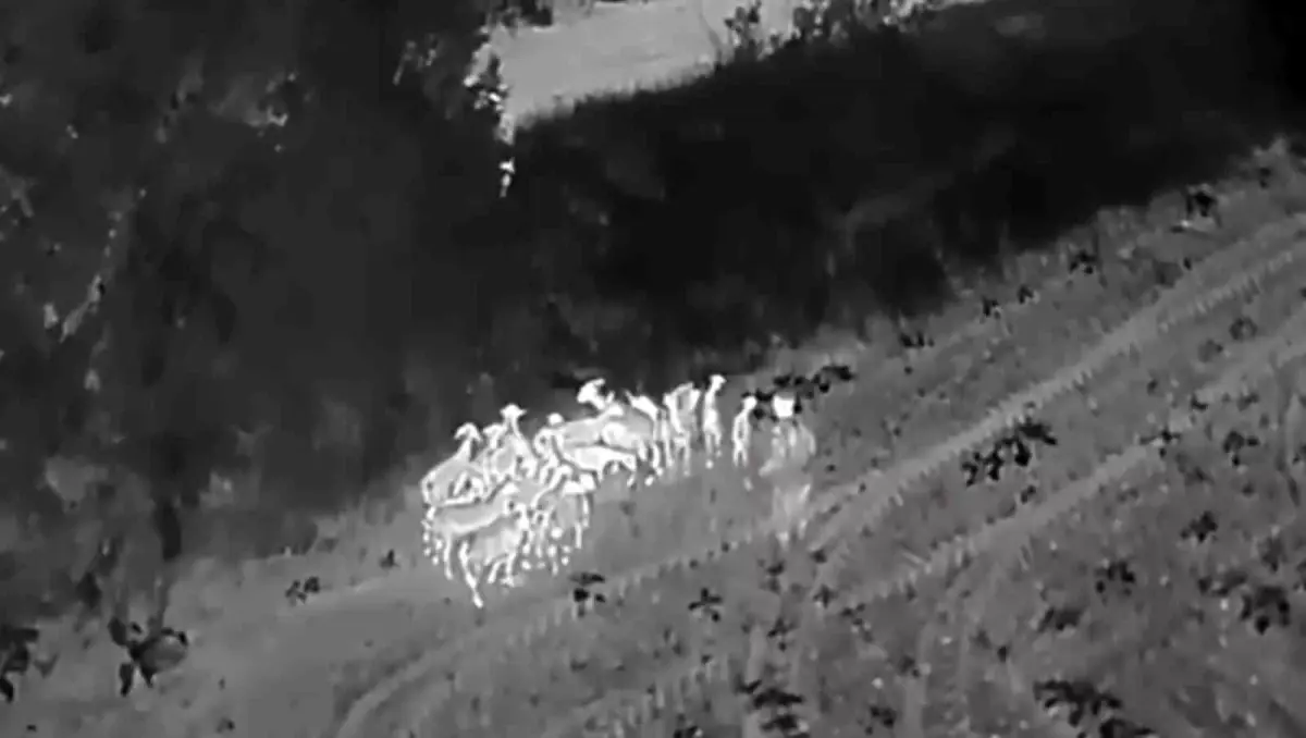 Malkara'da Kayıp Küçükbaş Hayvanlar Dron ile Bulundu