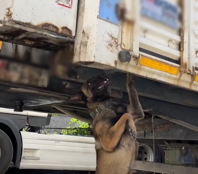 66 kilograms of drugs hidden inside the truck were seized