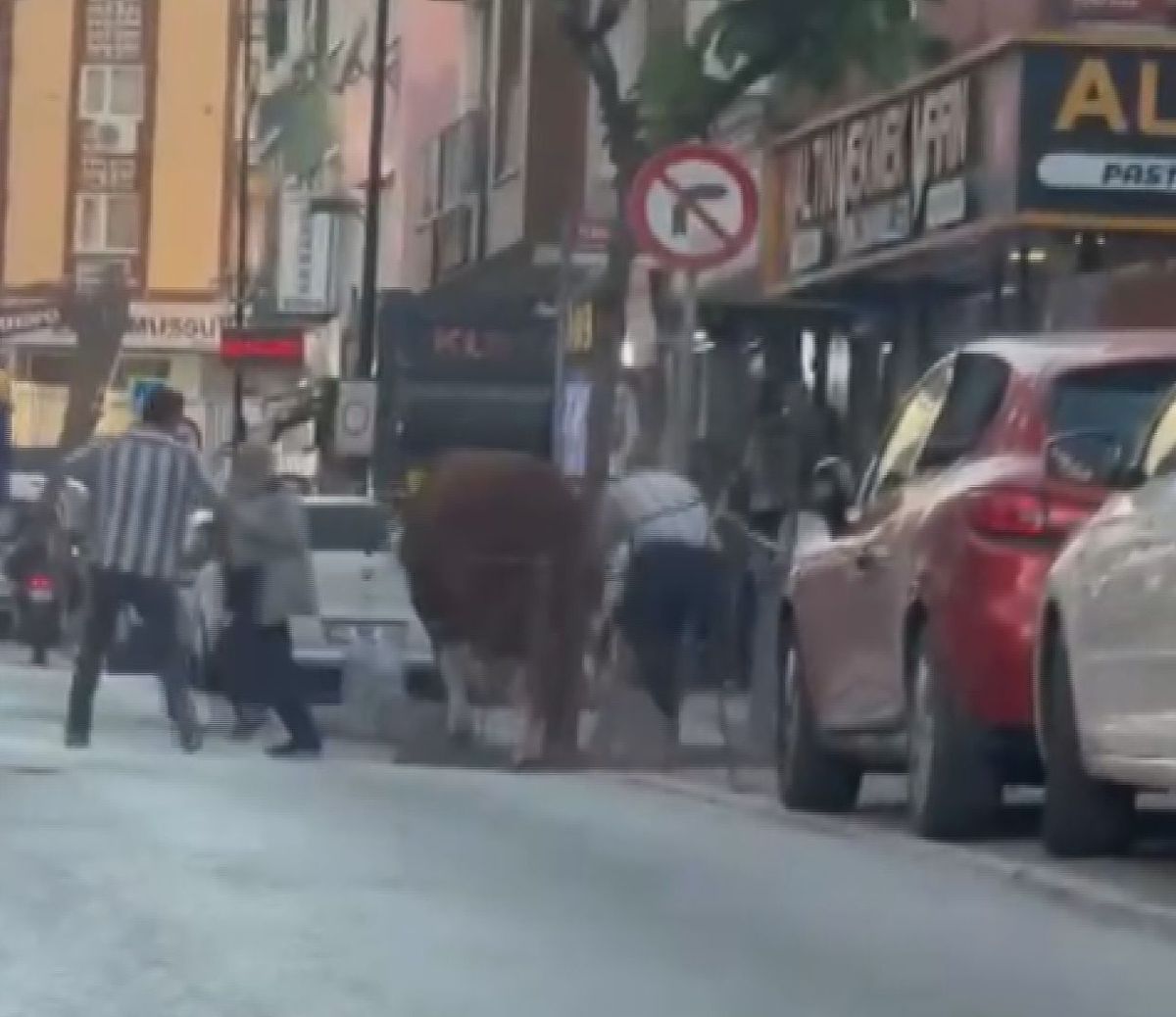 Ümraniye'de Kurban Pazarından Kaçan Boğa Ortalığı Karıştırdı