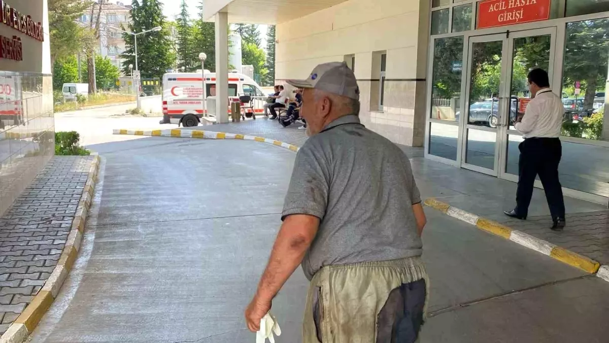 Bolu'da Kurban Kesimi Sırasında Acemi Kasaplar Hastaneye Koştu
