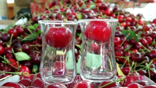 Harvesting has begun for the giant cherries that do not fit in a tea glass, market value 500 TL