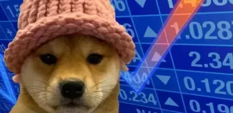 Dogecoin İçin Kırmızı Alarm: Uzmanlar 6 Aylık Düşüş Uyarısında Bulundu