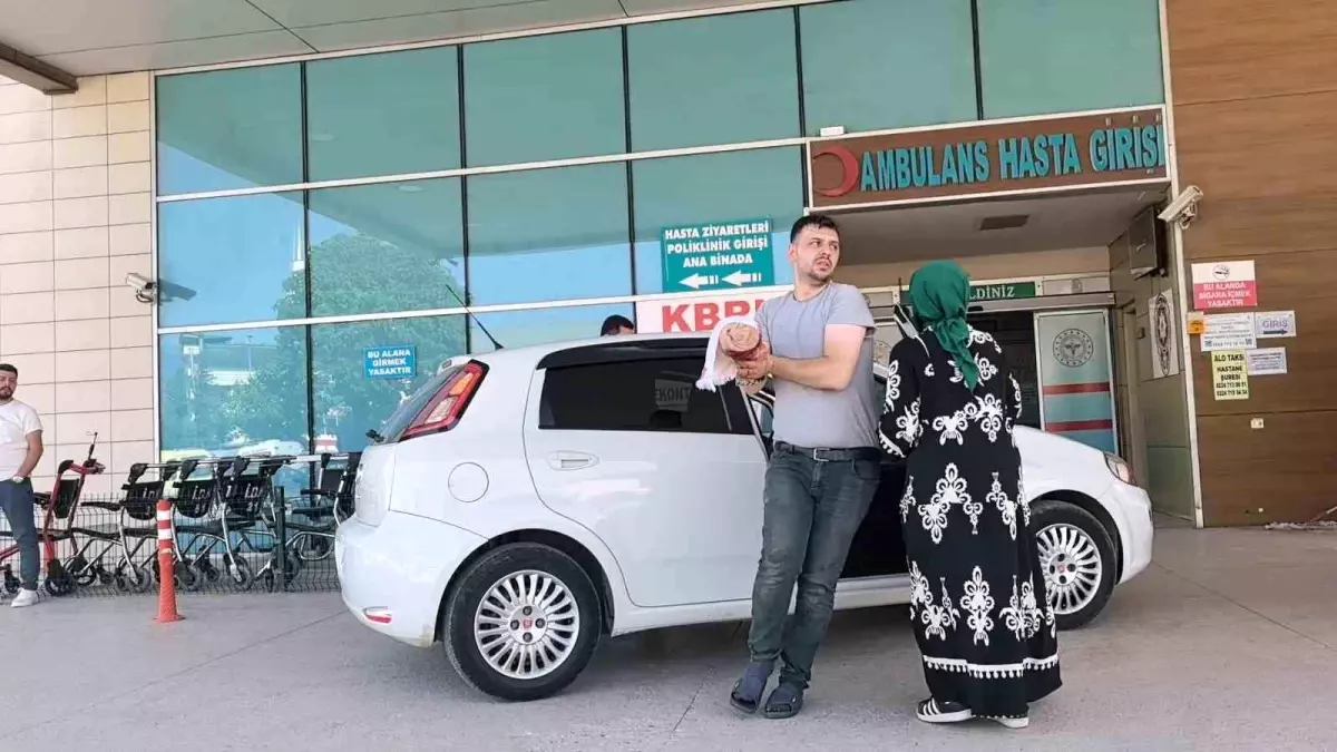 Kurban Kesiminde Acemi Kasaplar Acil Servisi Doldurdu