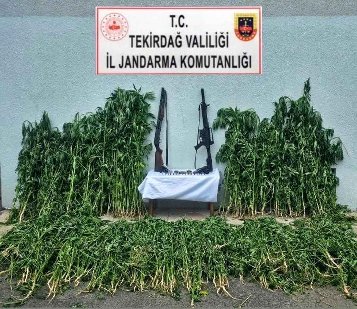 Tekirdağ'da Uyuşturucu Operasyonları: Kenevir ve Ruhsatsız Silahlar Ele Geçirildi