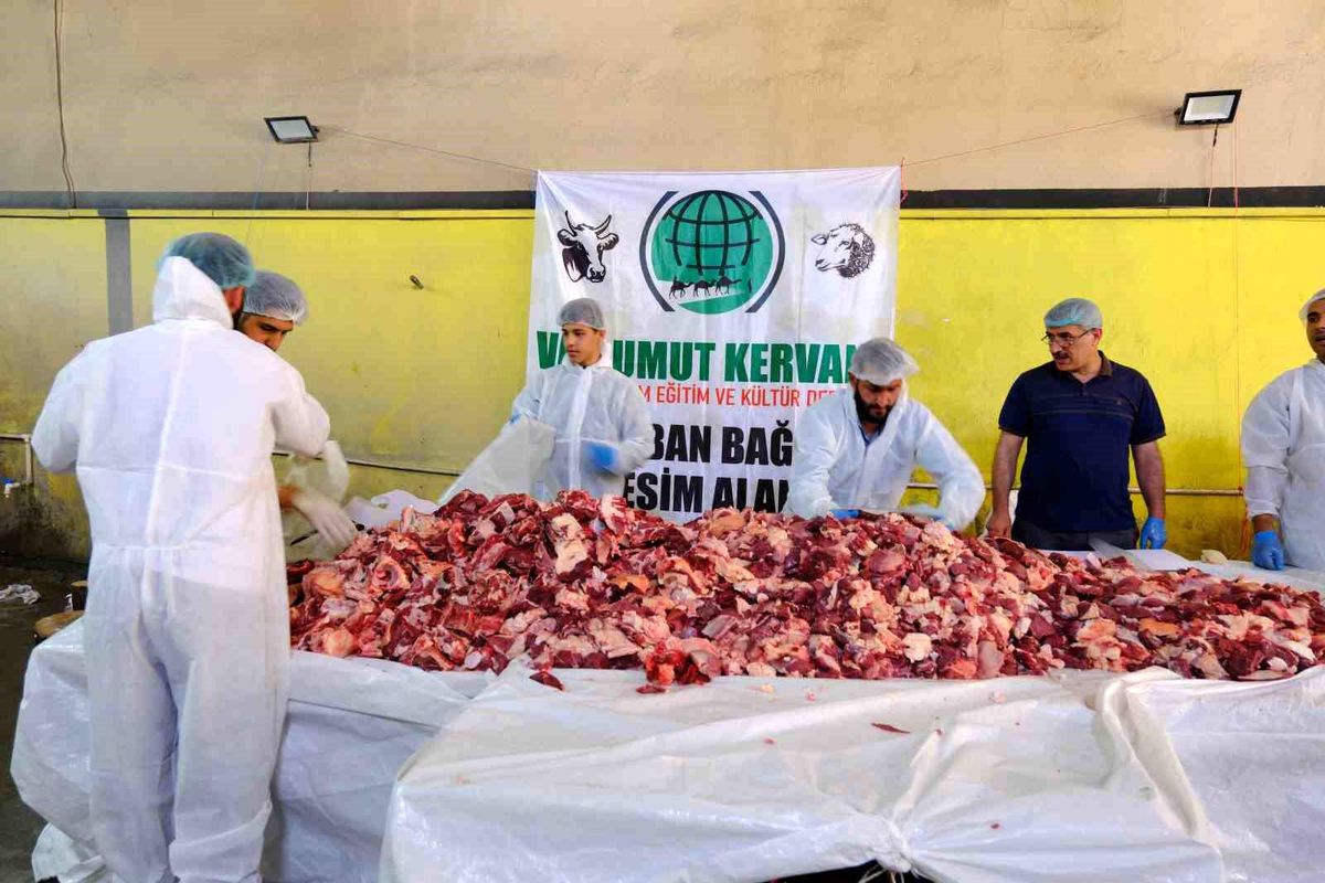 Van'da Geleneksel Toplu Kurban Kesimi Organizasyonu Düzenlendi