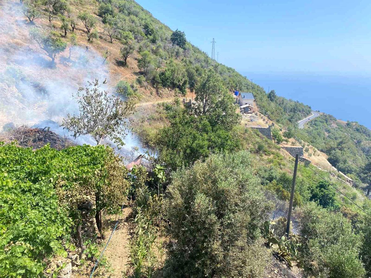 Antalya'da Bahçe Yangını Kontrol Altına Alındı