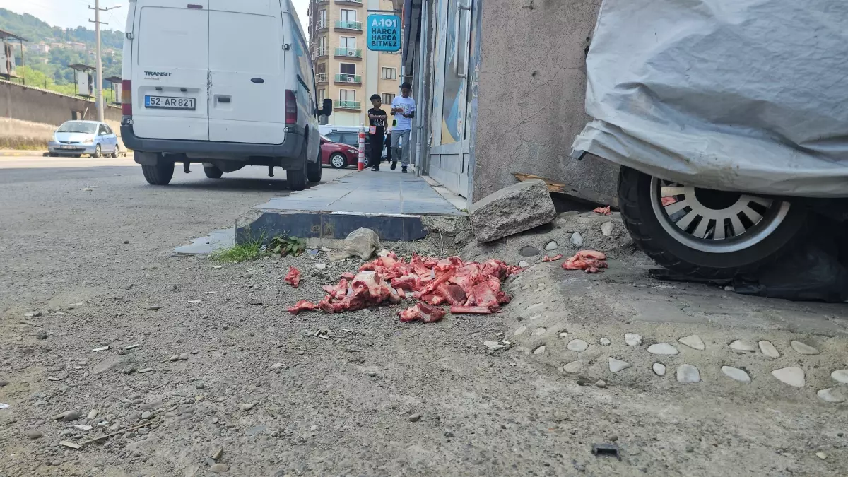 Zonguldak'ta Kurban Etleri Sokak Ortasına Atıldı