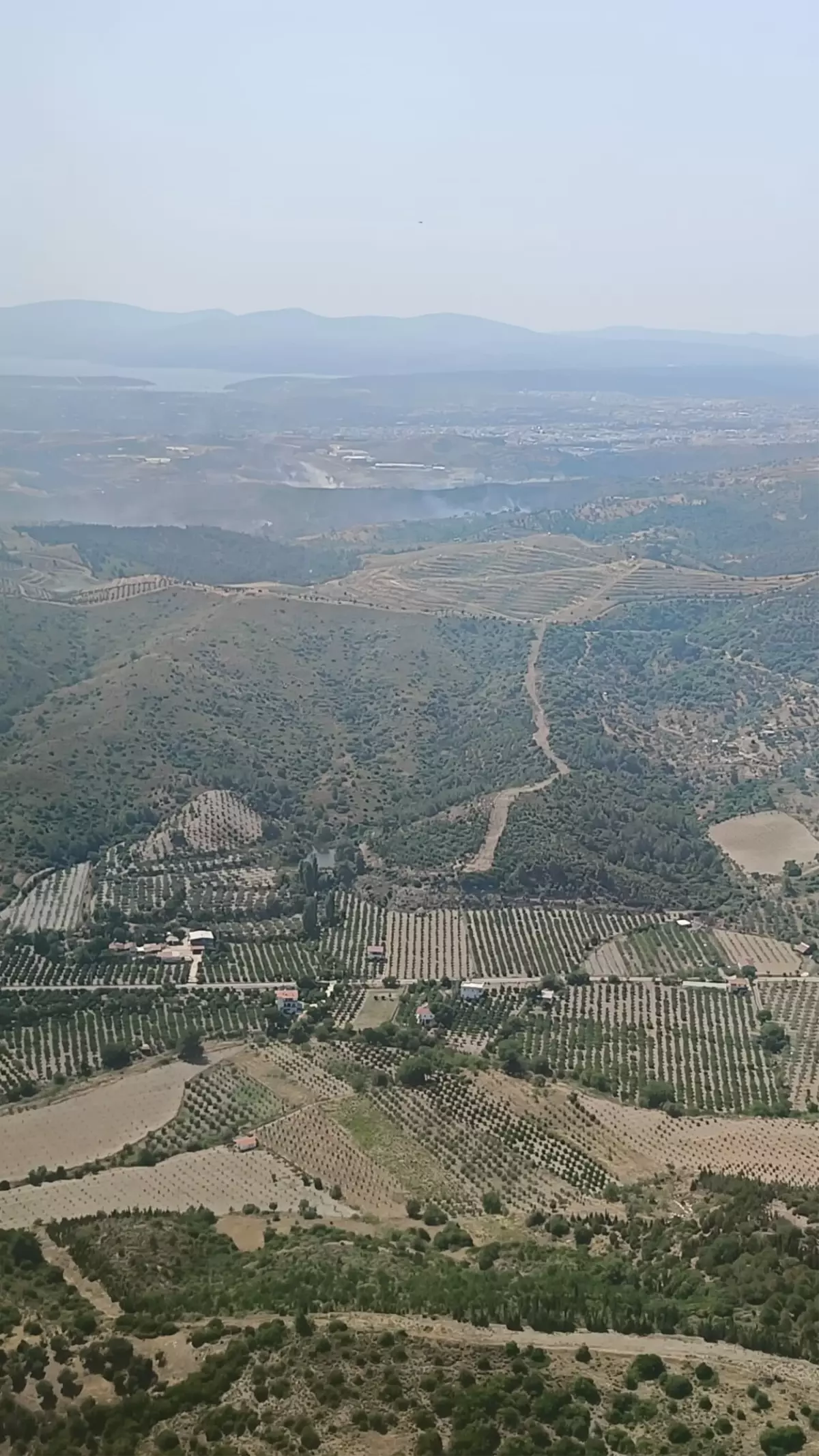 Seferihisar'daki Maki Yangını Kontrol Altına Alındı