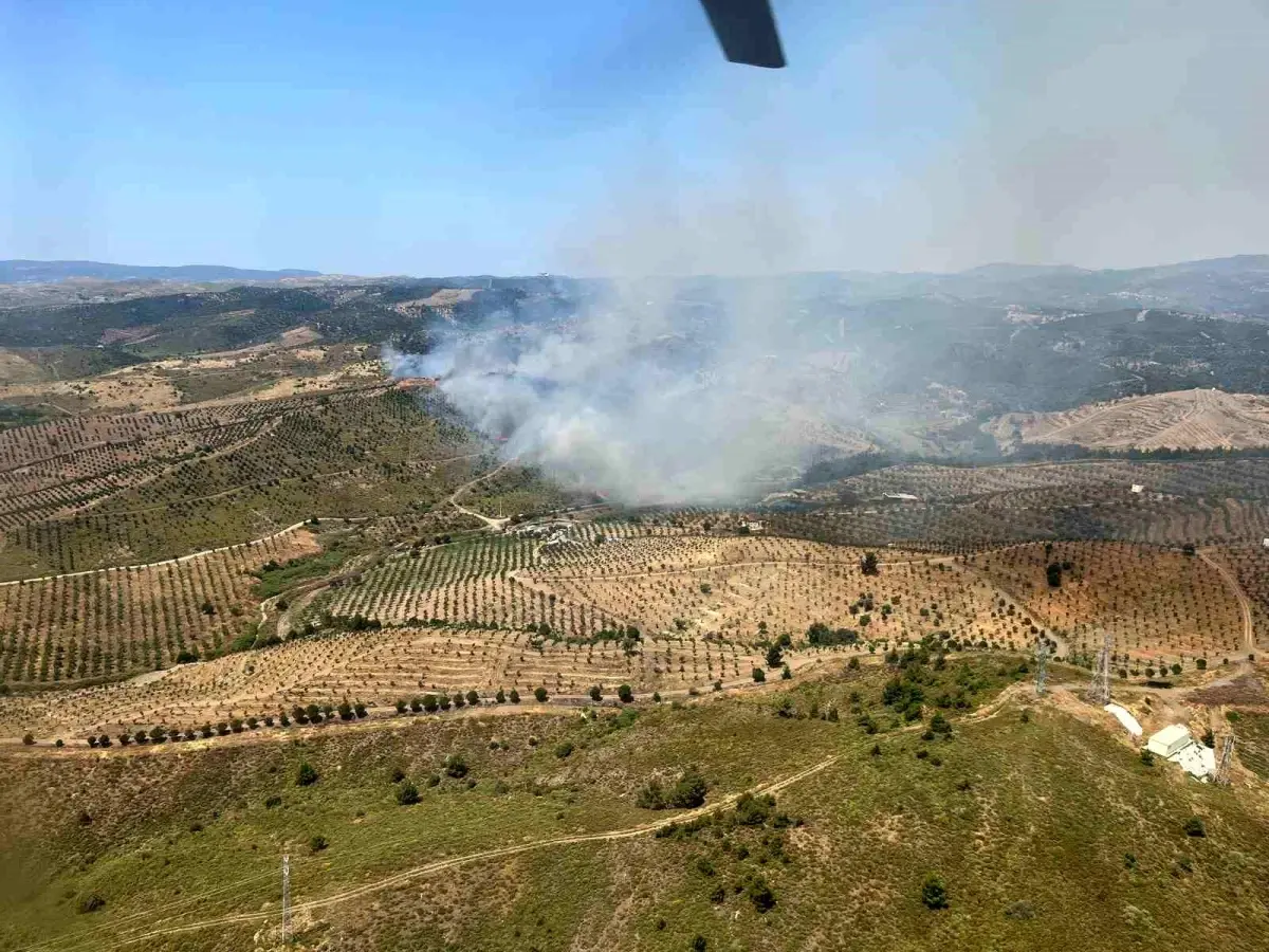 Seferihisar'da Orman Yangınına Hava ve Kara Müdahalesi