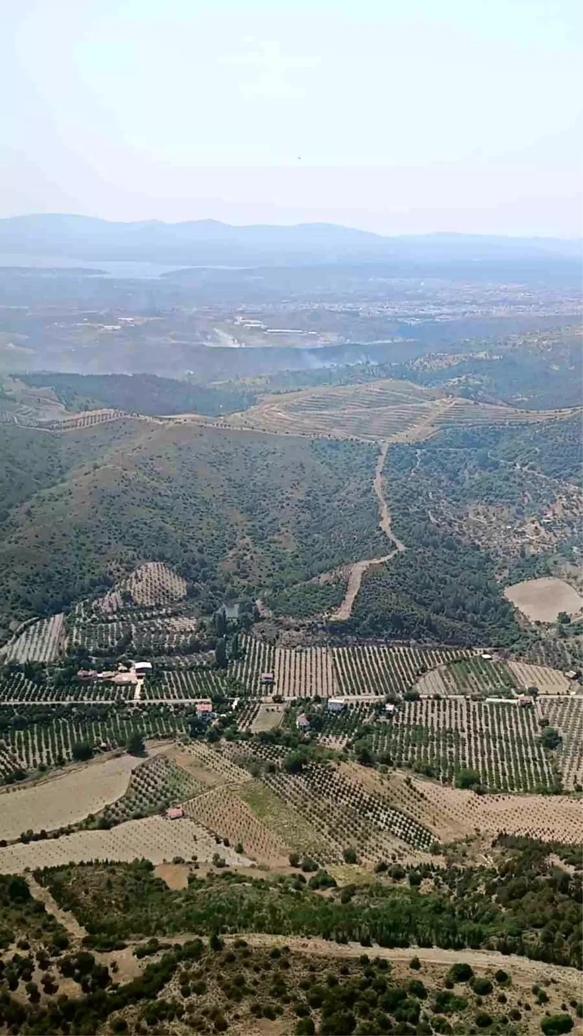 Seferihisar'da Orman Yangını Kontrol Altına Alındı