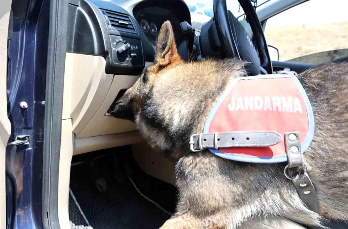 Aksaray'da Jandarma Uyuşturucu Operasyonu: Narkotik Köpeği Suç Ortaya Çıkardı