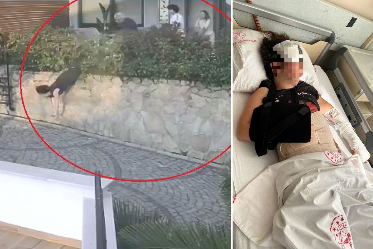 Komşu kavgası feci bitti, doktorun iteklediği kadın ağır yaralandı